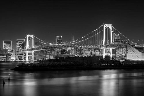Opvallende Regenboogbrug en skyline van Tokio bij nacht | monochroom