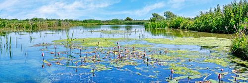Wassereinzugsgebiet von Castricum in Nordholland