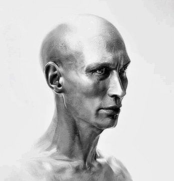 Portret van een ernstige man.(1) van Ineke de Rijk