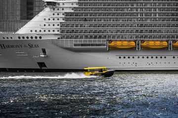 Een Rotterdamse watertaxi zoeft langs een majestueus cruiseschip van Luc de Zeeuw