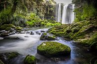 Wasserfall im Wald von Roel Beurskens Miniaturansicht