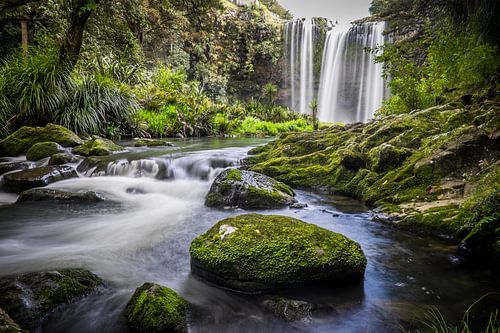 Waterval in het bos