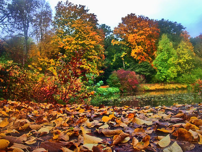 Schlossparkherbst 2 par Edgar Schermaul