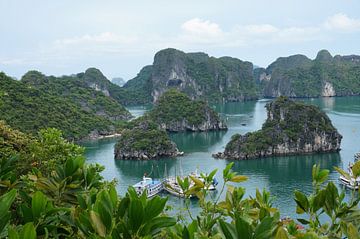 Wereld wonder Halong Bay in Vietnam van Lindy van Oirschot