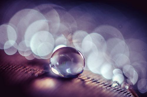 Waterdruppel op een veertje