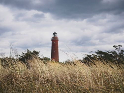 Leuchtturm Darßer Ort