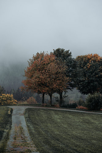 Houten bank onder herfstbomen in het Sauerland