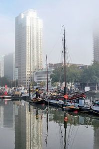 Rotterdam, Leuvehaven im Nebel