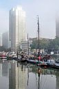 Rotterdam, Leuvehaven im Nebel von Frans Blok - Fotos, Kunst und weitere Wanddekoration Miniaturansicht