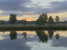 Lever du soleil au Meeuwenplas  - Dwingelderveld - Drenthe (Pays-Bas) sur Marcel Kerdijk