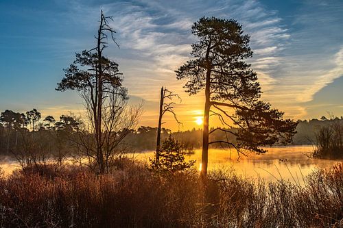 Zonsopkomst Voorste Goorven Oisterwijkse Bossen