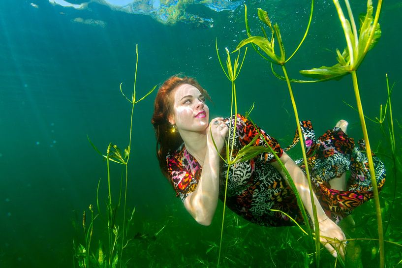 Es ist immer Frühling unter Wasser von Filip Staes