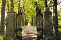 The gates of the castle