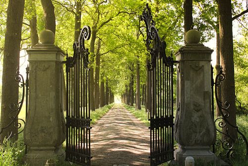 The gates of the castle