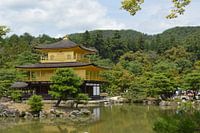 Kinkaku-ji x Japanese temple