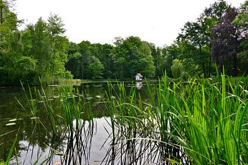 Spreewald pond 2.0 by Ingo Laue