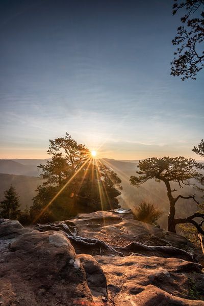 Zonsopgang in een prachtig landschap met bomen en rotsen van Fotos by Jan Wehnert