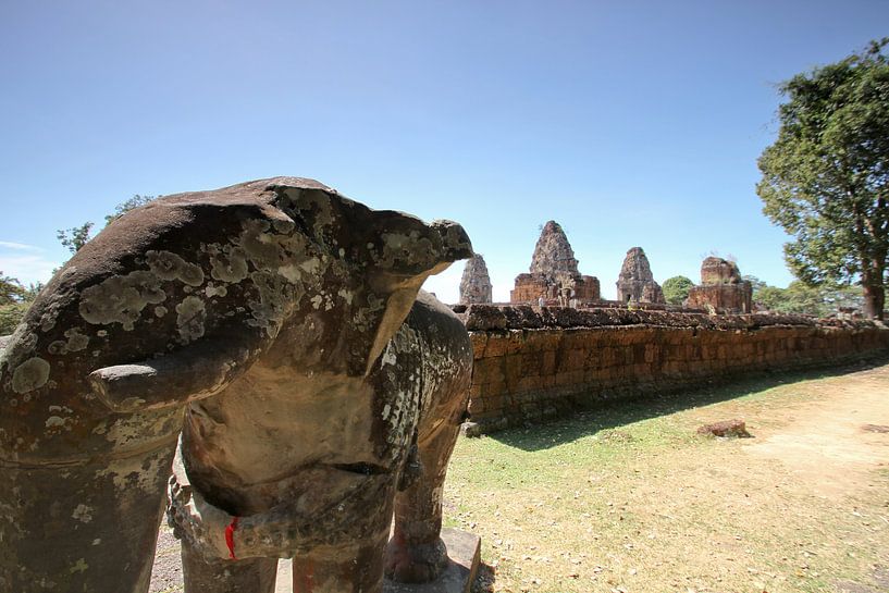 Elephanten bewachen die Tempel von Levent Weber