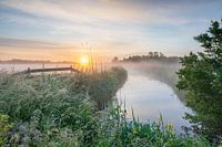 Lumière du matin sur le leurre à canards
