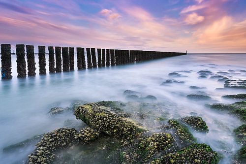 Westkapelle golfbreker