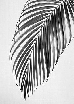 Feuille de palmier - Noir et blanc sur Gal Design