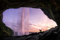 Sunset at Seljalandsfoss