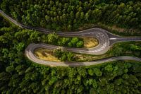 Curving road through the Black Forest
