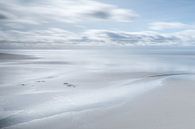 Texeler Küstenlinie von Ingrid Van Damme fotografie Miniaturansicht