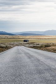 A Lonely Path through the Tundra of Rondane, Norway by Dylan Winter Visuals