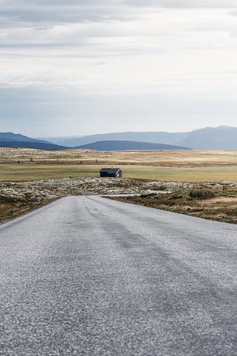 Une route solitaire à travers la toundra de Rondane, en Norvège