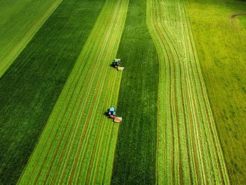 Two tractors mow the first cut of the year