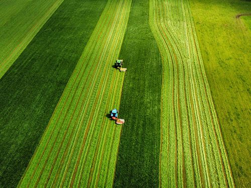Twee tractors maaien de eerste snede van het jaar