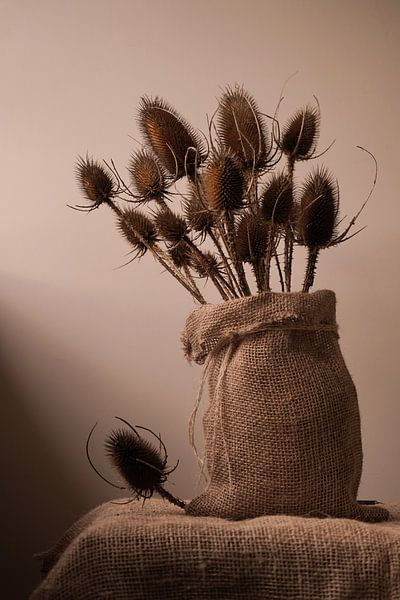 Cardboard globes still life by Saskia Schotanus