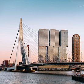 Rotterdam - Erasmus-Brücke im Abendlicht (1) von Jordy Brada
