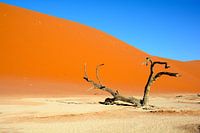 Sossusvlei duinen, Namibia