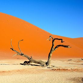 Sossusvlei duinen, Namibia van Florence Schmit