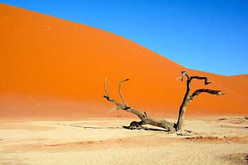 Sossusvlei duinen, Namibia van Florence Schmit