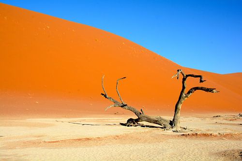 Sossusvlei dunes, Namibia