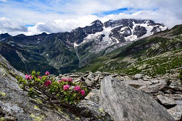 Alta Valsesia, Italien