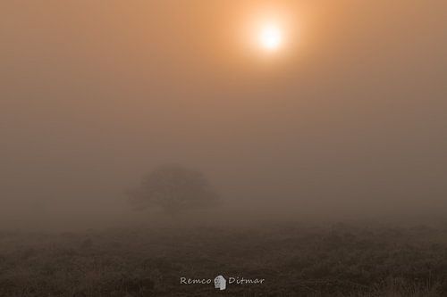 Mistige Mystiek: Een Betoverende Ochtend in Engbertsdijksveen