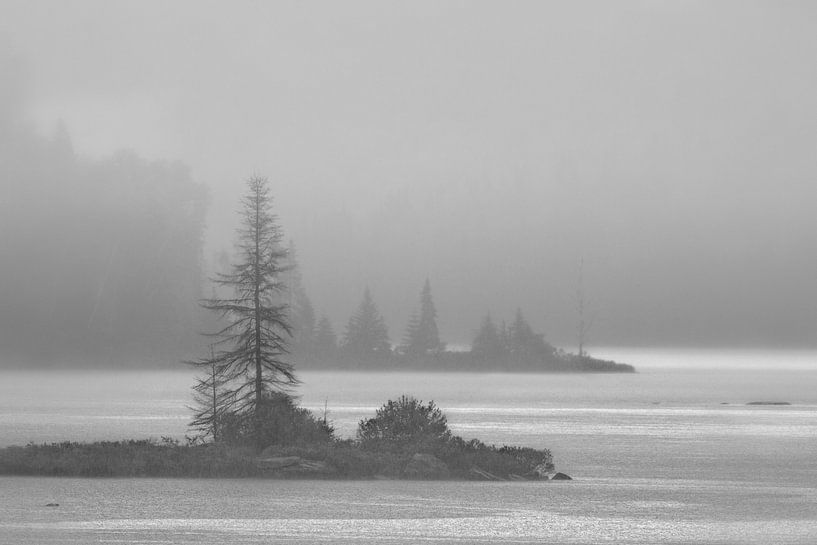 Matin Pluvieu von Renald Bourque