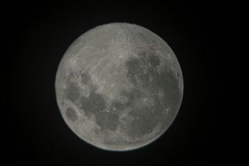 Full Moon sur Jennifer De Cock