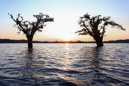 Laguna grande (Amazone Ecuador)
