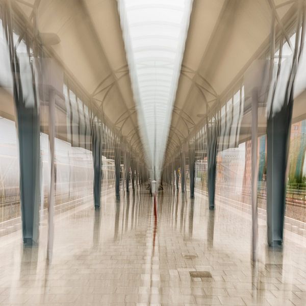 Gare ferroviaire de Den Bosch par Betere Landschapsfoto