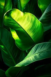 Feuilles vertes sur Poster Art Shop