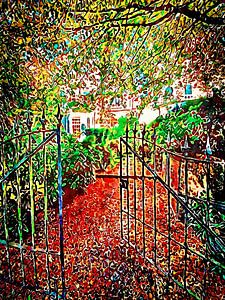 Herbstfarben in Hamburg (2)