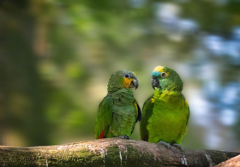 _DSC4664 par Bart Verdijk