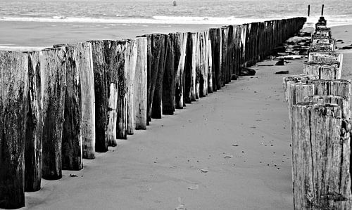 Beach posts black and white