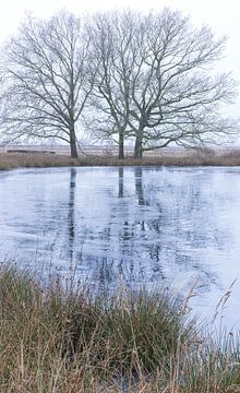 Dwingelderveld - Drenthe (Netherlands) by Marcel Kerdijk