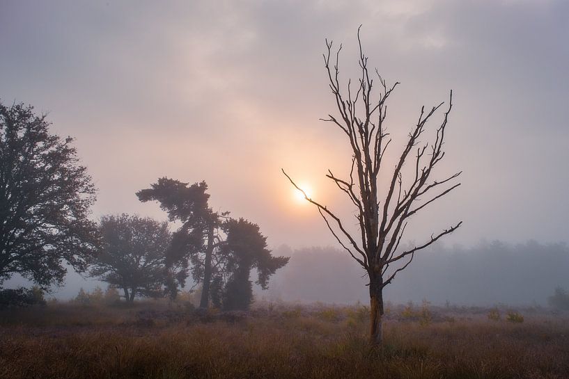 De eindeloze droom van Tvurk Photography